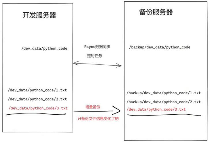 image-20240908095653038